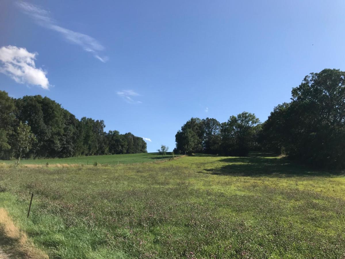 Landhotel Trakehnerhof Eppendorf  Kültér fotó